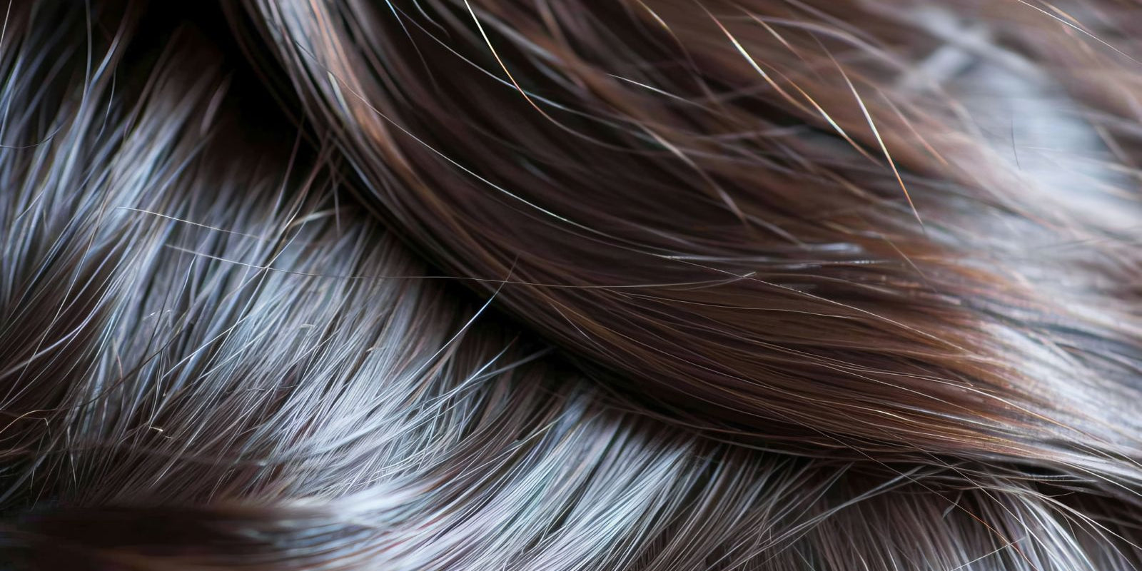 How Long for Batana Oil to Work? Hair Growth & Results Timeline